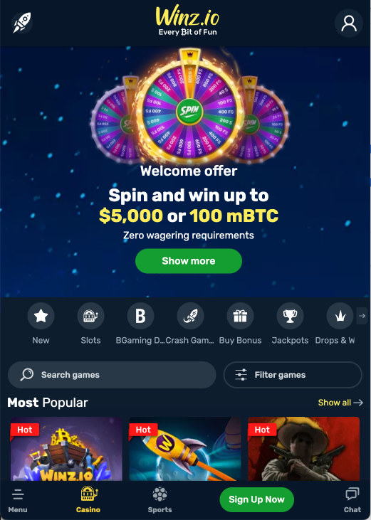 Winz Casino on Mobile